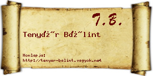 Tenyér Bálint névjegykártya